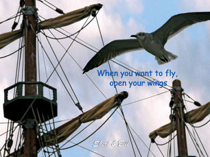 When You Want To Fly