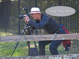 Take The Shot!