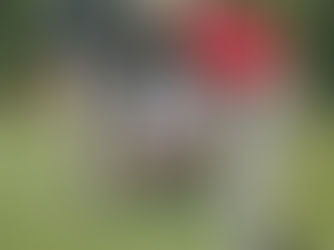 image of 4 golfers examining the next putt. text reads Reading the Green - Sheri & Bill