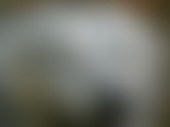 image of dogs smiling face with a hand above getting ready to tap on their head. text on image is Sweet Love (original photography by Sheri & Bill)