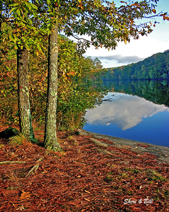 Positive Reflections - Sheri & Bill