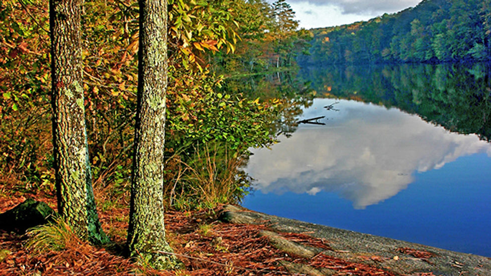 Positive Reflections - Sheri & Bill