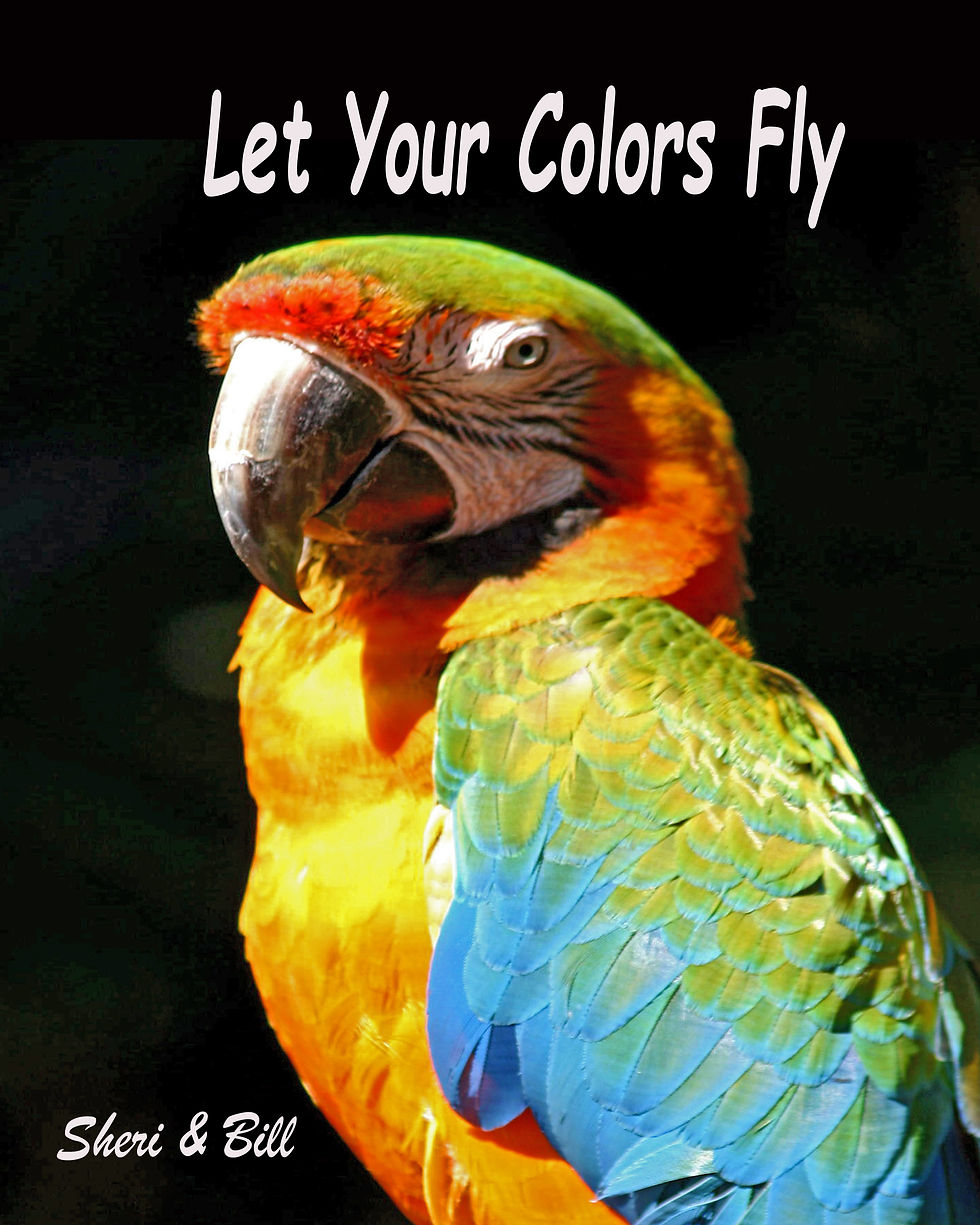 Let Your Colors Fly! Sheri & Bill (Original photography by Sheri & Bill)