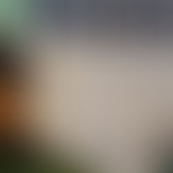 COMMUNITIES HINGE ON NEWSPAPERS: As Local Papers Vanish, Legacy Media Matters More