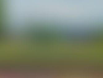 MHCC IN THE SPOTLIGHT: A Fair Look at How It Compares to Oregon’s 17