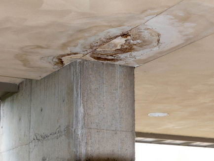 Mt Hood Community College Bond Measure Delayed Until May