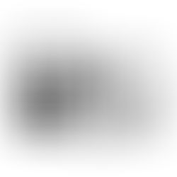 THE BUDGET STRUGGLE CONTINUES