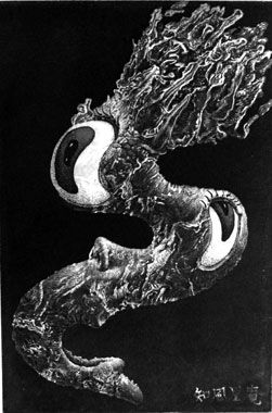 知風里庵 Ciprian