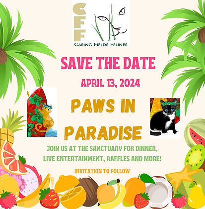 Paws-in-Paradise-save-date.jpg