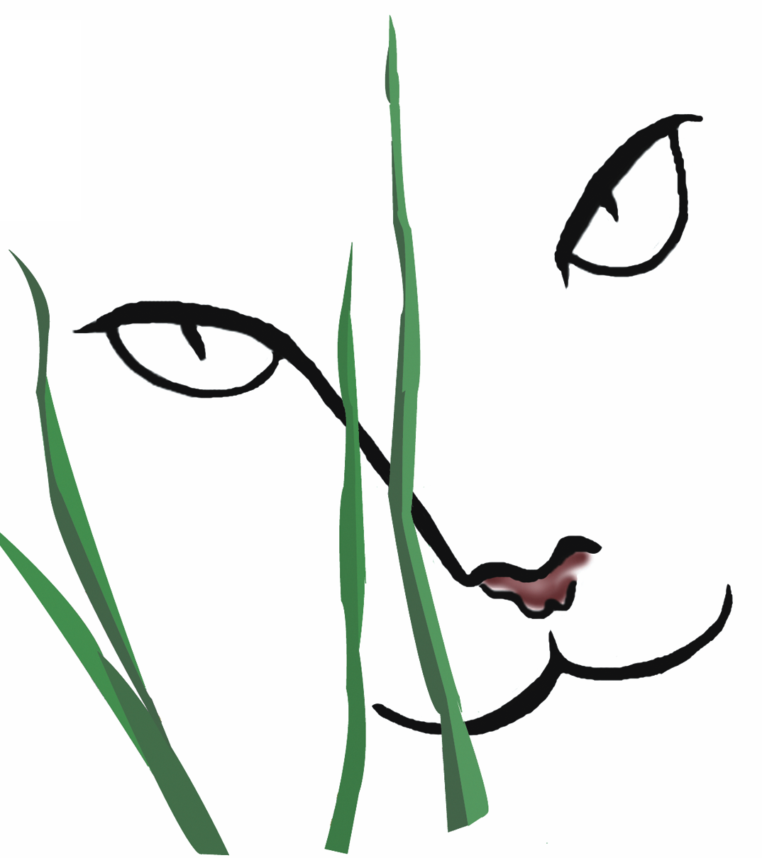 Caring Fields Felines Sanctuary