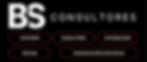 BS Consultores Web CIC_edited