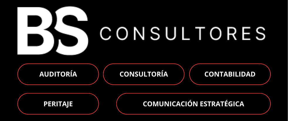 BS Consultores Web CIC_edited