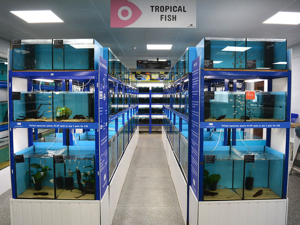 Over 300 tropical fish tanks!