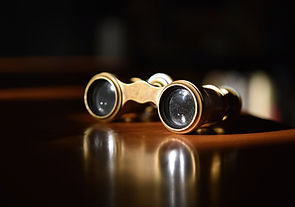 Vintage Theater Glasses