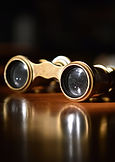 Vintage Theater Glasses