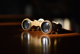 Vintage Theater Glasses