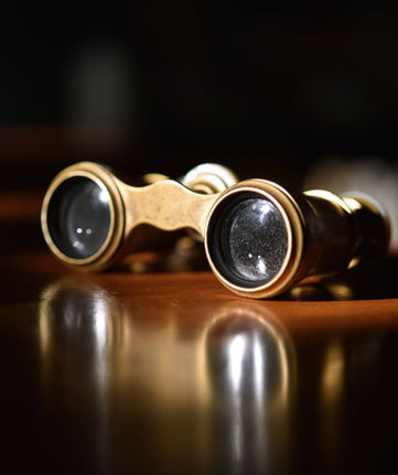 Vintage Theater Glasses