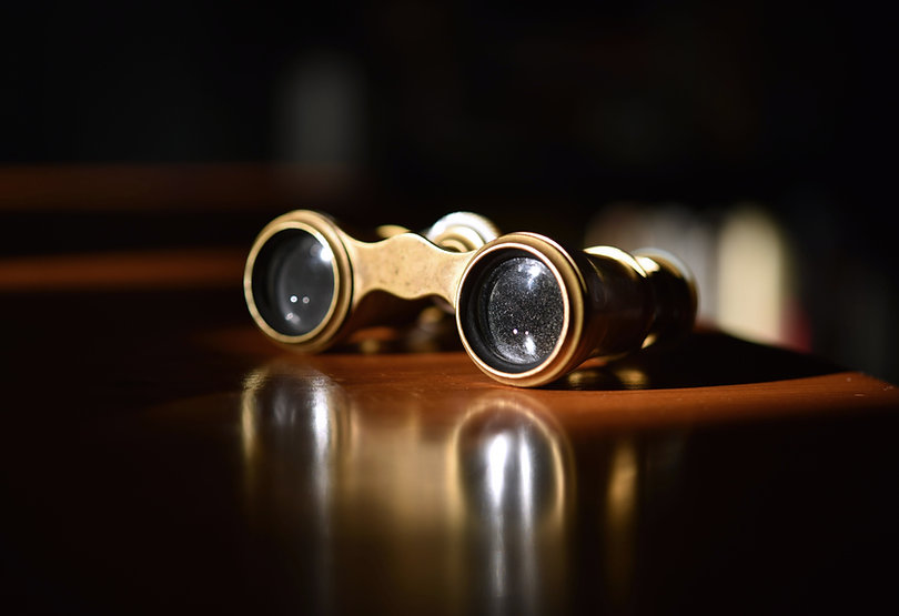Vintage Theater Glasses