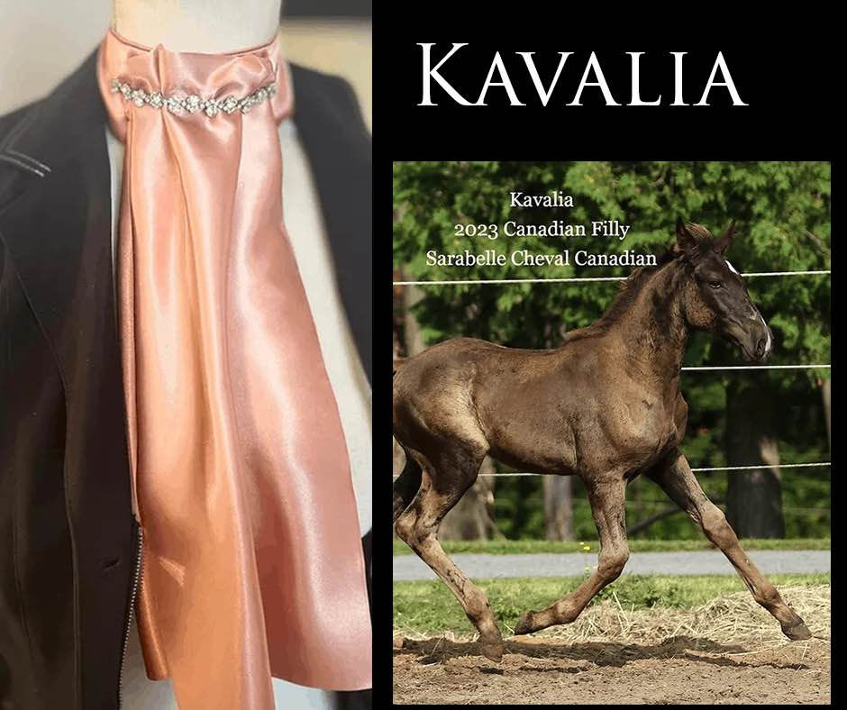 Miniature : Kavalia