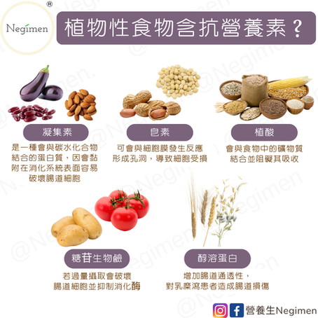 【植物性食物含抗營養素?】