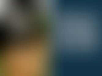 Cribbing for RV Leveling