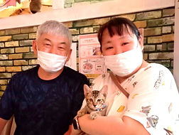 保護猫飼うなら「ねこのす」へ!.jpg