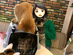 里親様 チンチラ ねこのす ネコノス.jpg