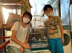 コザクラインコ里親様決定、ねこのす。_edited_edited.jpg