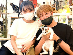 保護猫里親様決定しました.jpg