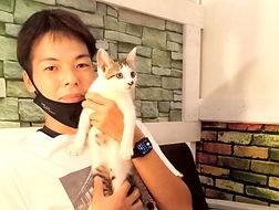 保護猫里親様決定しました!.jpg