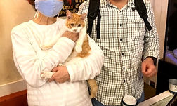 保護猫 里親様決定 ねこのす 猫の巣 ネコノス_edited.jpg