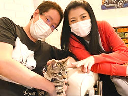 保護猫カフェねこのすでは毎日、保護猫の里親を募集しております3_edited.jpg