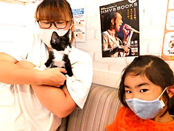 保護猫里親決定しました!ねこのす動物保護施設.jpg