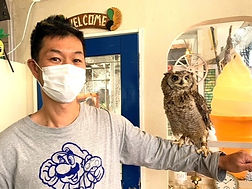 アフリカワシミミズク里親様 ねこのす_edited_edited.jpg