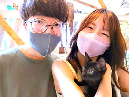 ねこのす動物保護施設、保護猫カフェねこのす、里親様決定いたしました!.jpg