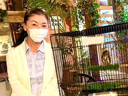 里親様アカスズメフクロウ_ねこのす ネコノス 猫の巣_edited.jpg