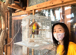ボタンインコ里親様。ねこのす動物保護施設_edited.jpg