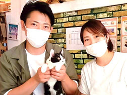 保護猫カフェねこのすでは毎日、保護猫の里親を募集しております。_edited_e