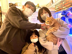 里親様決定(保護猫)ねこのす動物保護施設NFT_edited_edited.jpg