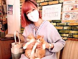 保護猫、里親様決定しました!ねこのす動物保護施設、保護猫カフェ_edited_edited.jpg