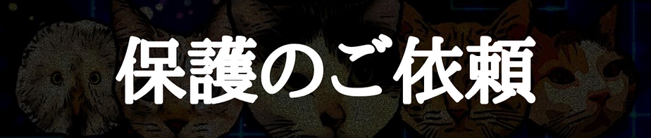 保護のご依頼(ねこのす動物保護施設).PNG
