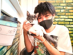 保護猫里親様決定しました.jpg