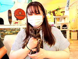ねこのす動物保護施設、保護猫カフェねこのす、里親様決定いたしました.jpg