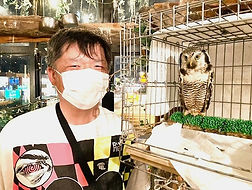 オナガフクロウ里親様(「ねこのす」保護動物カフェでは梟をはじめたくさんの動物の里親を募集しております」猫の巣NEKONOS梟)_edited.jpg