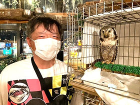 オナガフクロウ里親様、ねこのす、猫の巣、梟の里親募集