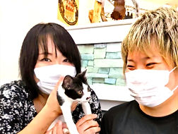 保護猫里親様決定しました.jpg