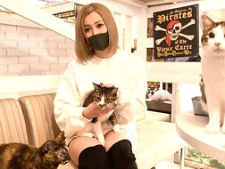 保護猫、里親様決定。ねこのすNEKONOSで保護動物の譲渡を行っております。_edited_edited.jpg