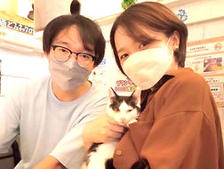 保護猫里親決定、ねこのす動物保護施設、保護猫カフェ_edited.jpg