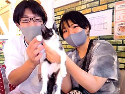 保護猫、里親様決定しました!ねこのす動物保護施設.jpg