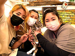 保護猫、里親様決定しました!ねこのす保護猫カフェ_edited.jpg